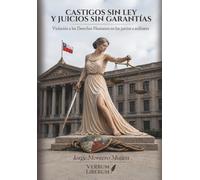 Castigos sin ley y juicios sin garantías: Violación a los Derechos Humanos en los juicios a militares