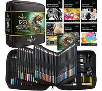 Castle Art Supplies Juego de medios mixtos | Colección de lápices de arte de más de 120 colores - Acuarela, pastel, metálico, grafito, carbón | Libertad creativa para artistas adultos, coloristas | en