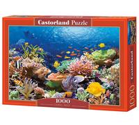 CASTORLAND 1000 Piece Jigsaw Puzzle, Coral Reef Fishes, Sealif (Importación USA)