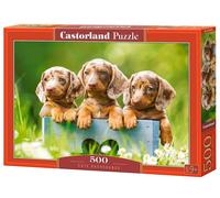 Castorland 500 Piece Jigsaw Puzzles, Cute Dachshunds, Animal P (Importación USA)