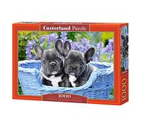 Castorland C-104246-2 - Puzzle de 1000 Piezas, diseño de Bulldog francés, Multicolor