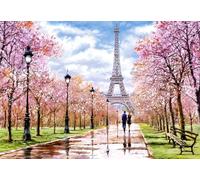 Castorland C-104369-2 Romantic Walk in Paris 1000 Teile Puzzle Rompecabezas, Multicolor (CSC104369)