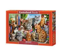 Castorland Classics Rompecabezas de 2000 piezas de primera calidad a partir de 9