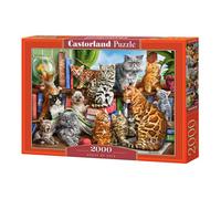 Castorland Classics Rompecabezas de 2000 piezas de primera calidad a partir de 9