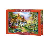 Castorland - Puzzle (3000 Piezas), diseño de Flores, París