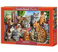 Castorland House of Cats 2000pieza(s) - Rompecabezas (Jigsaw puzzle, Animales, Niños y adultos, Cat (animal), Niño/niña, 9 año(s)) , color/modelo surtido