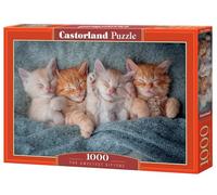 Castorland Puzzle 1000 piezas: Los Gatitos Más Dulces