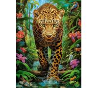 Castorland Puzzle Leopard en el desierto - 2000 piezas rompecabezas