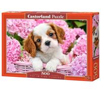 CASTRO 500 el.Pup in Pink Flowers [PUZZLE]