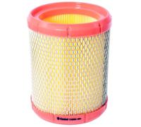Castrol Filters Filtro de aire CA0394