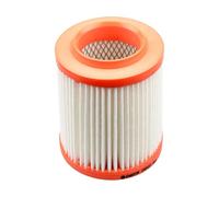 Castrol Filters Filtro de aire CA0422