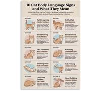 Cat Body Signals Poster Understanding Cats