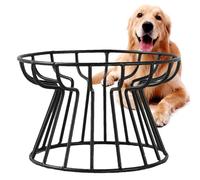 Cat Bowls - Cat Food Bowls | Elevated Cat Bowls | Cat Bowl with Metal Stand, Anti Vomiting Ceramic Raised Cat Bowls Whisker-Friendly Elevated Cat Feeder Bowl Stand, Water Bowl For Cats