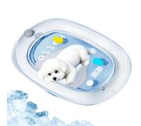 Cat Cooling Mat - Thickened Washable Inflatable Pad, Funny Pet Play Cushion | Leak Resistant Comfort Bed, Portable Summer Resting Mat | Self Cooling Pet Mat for Cats, Kittens, Small Dogs and Indoor Use