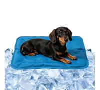 Cat Dog Bed Mat, For Puppies Cats Crate Cage Kennel Floor Sofa Car Seat