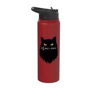 Cat Ecuación de Schrödinger dependiente del tiempo Stainless Steel Insulated Water Bottle
