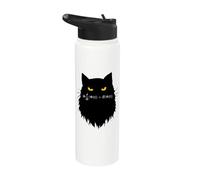 Cat Ecuación de Schrödinger dependiente del tiempo Stainless Steel Insulated Water Bottle