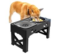 Cat Feeder, Anti-Slip Food and Water Bowl, Feeding Station Auto Waterer and Feeder for Kittens, Puppies, Small Animals, Apartment, Kitchen, Living Room, Pet Area