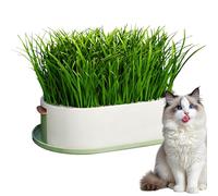 Cat Grass Tray - 7.48 Inch Hydroponics Planting Container | ABS Cat Grass Growing Box, Pet Feeding Snack Station for Kitten, Home Cage and Indoor Desktop Garden