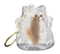 Cat Hair Keychains, Cats Hair Storage Box Pendants, 1.57x3.15 Inches Animal Memorial Souvenir, Personal Accessory for Women Boys Girls Youth Teens, Color Transparent and Easy to Install