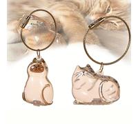 Cat Hair Storage Bottle, Bottle for Pet Hairs Keychain, for Collecting Cat Hair Cute and Fun Charm Memorial Gifts (2pcs1)
