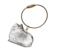 Cat Hair Storage Bottle, Clear Portable Small Storage Bin, Pet Supplies for Keepsake, Burial, Travel, Car, Home, Outdoor, Sympathy Gift for Friends, Family, Memory Holder for Cat Owners and Lovers