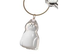 Cat Hair Storage Bottle, Clear Portable Small Storage Bin, Pet Supplies for Keepsake, Burial, Travel, Car, Home, Outdoor, Sympathy Gift for Friends, Family, Memory Holder for Cat Owners and Lovers