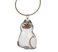 Cat Hair Storage Bottle, Clear Portable Small Storage Bin, Pet Supplies for Keepsake, Burial, Travel, Car, Home, Outdoor, Sympathy Gift for Friends, Family, Memory Holder for Cat Owners and Lovers