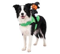 Cat Halloween Costumes | Pumpkin Riding Novelty Dressing Up Clothes