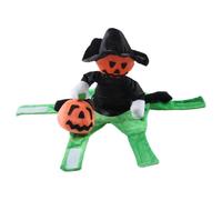 Cat Halloween Costumes, Pumpkin Riding Outfit with Soft Design, Cosplay