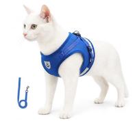 Cat Harness for Cats and Leash Set Escape Proof Adjustable Soft Mesh Walking Vest for Small Medium Cats Outdoor Walking Training Travel (Blue,L)