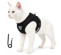 Cat Harness for Cats and Leash Set Escape Proof Adjustable Soft Mesh Walking Vest for Small Medium Cats Outdoor Walking Training Travel (Black,M)
