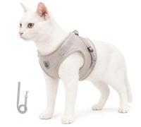 Cat Harness for Cats and Leash Set Escape Proof Adjustable Soft Mesh Walking Vest for Small Medium Cats Outdoor Walking Training Travel (Gray,XS)