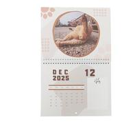 Cat Humor Calendar | 2025 Wall Planner | Funny Animal Calendar | Yearly Organizer Calendar | 2025 Calendar Wall Decor, Annual Yearly Planner Thick Paper For Organizing & Planning