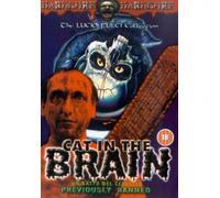 Cat In The Brain [Edizione: Regno Unito] [Francia] [DVD]