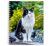Cat Lovers 2026 6 X 7.75 Inch Spiral-Bound Wire-O Weekly Engagement Planner Calendar New Full-Color Image Every Week