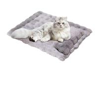 Cat Mat Bed - Washable Warm Pad with Pillow, Cat Sleeping Mat & Dog Bed, 60 x 45 cm Detachable Pillow | For Small, Medium, Large Puppy & Kitten, Indoor Home Couch Floor Crate Kennel, Winter Fall
