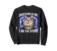 Cat Meme Todo Está Bien Soy La Tormenta Sudadera