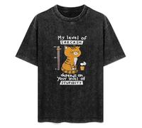 Cat My Level of Sarcasm Depends On Your Level of Stupidity Men's T-Shirt Unisex Black Cotton Hip Hop Print tee Shirts XXL