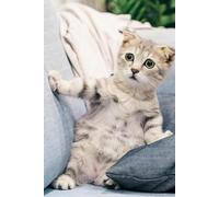 Cat, Notebook: Your Mind on Paper. Probably Brilliant Stuff Inside