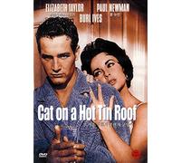 Cat On A Hot Tin Roof
