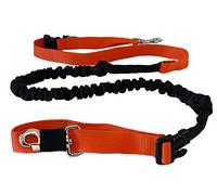 Cat-or-dog.boutique - Correa para manos libres profesional - Amortiguador retráctil extensible 2,5 m: Jogging, esquí-joëring. Reinventamos el paseo con el perro (L: 30 + kg, naranja)