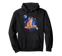 Cat Riding Pizza In Space Galaxy Funny Kitten Cats Lovers Sudadera con Capucha