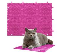 Cat Scratcher - Itchy Skin Relief Toy Carpet | 9.7x7.1inch Massage Cat Scratch Rug for Grinding Claws, Stress Relief, Floor Enrichment, Play Activity, Furniture Protection, Indoor, Bedroom, Patio