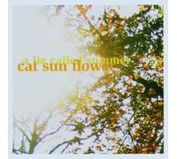 Cat Sun Flower - A Lie Called Summer