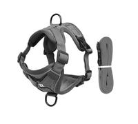 Cat Towing Rope Safety Belt, Cat Escape Safety Belt, Vest Style Reflective Pet Chest Harness Anti Slip (Gray S)