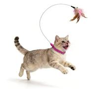 Cat Toy Collar Interactive Teasing Wand, Kitten Feathers Play Accessory with Fun Style, Training Ornament with Creative Detail, Collar, Pet Accessory for Outdoor, Yard, Park, Home, Ejercise, Daily E