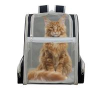 Cat Travel Bag, Breathable Pet Carrier Backpack, Portable Cat Backpack with Spacious and Secure Design for Small to Medium Sized Pets During Outdoor Fun, 1 Piece