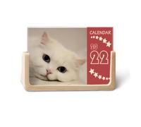 Cat White Kitty Pet Animal Relax 2022 - Calendario de escritorio (12 meses)