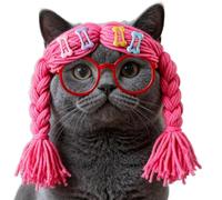 Cat Wig, Cat Wig Cosplay Braids Glasses Costume Accessories, Funny Pet Headwear for Kittens Puppies, Party, Holiday, Christmas, Carnival, Photoshoots